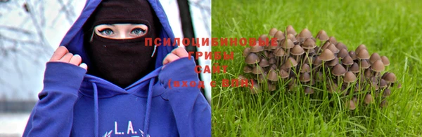 экстази Ельня